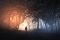 Surreal forest road with mysterious light and fog