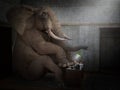 Funny Elephant, Working, Office, Surreal