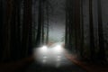 Surreal Ghost Car, Woods, Road, Darkness, Background