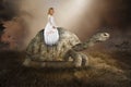 Surreal Girl, Turtle, Tortoise, Nature, Peace, Love Royalty Free Stock Photo