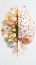 Surreal half-brain, half-tree composition symbolizing the fusion of intelligence, nature, sustainability, and organic Royalty Free Stock Photo