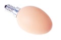 Surreal hybrid of light bulb and egg Royalty Free Stock Photo