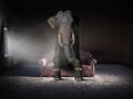 Surreal Elephant, Sitting, Old House