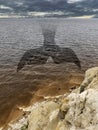 Surreal image with a whale