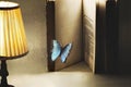 Surreal and imaginative moment of a butterfly entering the pages of a book for a new story Royalty Free Stock Photo