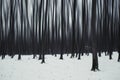 Surreal infinite dark winter forest