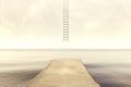 Surreal ladder rises up into the sky in a silent sea landscape