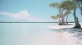 Surreal Lagoon: A Muted Tone Beachscape Captured On Analog Film