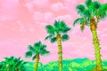 Surreal landscape with bright palms and cloudy pink-coral sky.