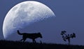 Surreal landscape with a giant moon and the silhouettes of a wolf and bush