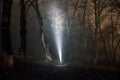 Surreal light in dark forest, Magic fantasy lightsin the fairy tale foggy forest