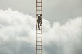 Surreal man tries to reach the sky with a ladder fearfully looking down, the concept is business and success Royalty Free Stock Photo