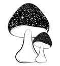 surreal mushrooms design