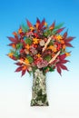 Surreal Nature Autumn Fall Thanksgiving Tree Composition