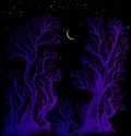 Surreal night sky forest moon and star fantasy illustration. Enchanted forest fantasy background with colorful trees.