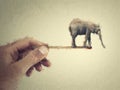 Surreal painting with a tiny elephant balancing on the edge of a matchstick in a person hand. Bizarre concept, endangered animals