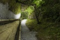 A surreal path with pebbles and forest both sides, middle of the day, unusual special effect