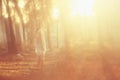 Surreal photo of young woman standing in forest. image is textured and toned. dreamy concept. Royalty Free Stock Photo