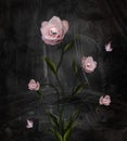 Surreal pink roses in a dark woodland scenery Royalty Free Stock Photo