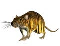 Surreal rat in the tiger look