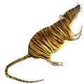 Surreal rat with tiger skin