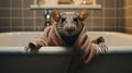 Surreal Rat In Tub With Wraparound Towel - Cinematic Mood