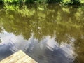 Surreal ripples on surface of woodland pond. Royalty Free Stock Photo