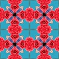 Red roses on a blue background Royalty Free Stock Photo