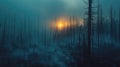 Surreal stillness of a smoldering forest, backlit by gentle morning light. Forest fires