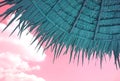 Teal Colored Thatched Beach Parasol on Pink Sky Background