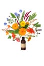 Surreal Summer Flower and Herb Splash for Essential Oil Treatments