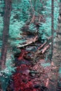 Surreal Teal and Red Forest Scene with Stream and Bridge