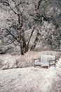 Surreal vibrant alternative colour infrared English countryside