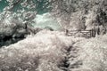 Surreal vibrant alternative colour infrared English countryside