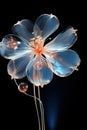 Surreal vibrant light flower closeup isolated on black. Generative AI