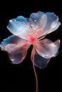 Surreal vibrant light flower closeup isolated on black. Generative AI