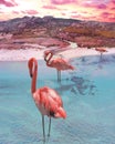 Surreal visionary image, bird`s eye view of a sea landscape with a river mouth and green meadow, big pink flamingos, Berchida,