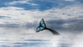 Surreal visionary view of a wale tale that turns into a butterfly, rough sea and cloudy sky, freedom concept, imaginary art