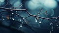 Surreal Water Drops On Tree Branches Wallpaper