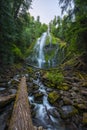 Long Exposure of Proxy Falls in Willamette Forest, Oregon Royalty Free Stock Photo