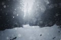 Surreal winter scene in the woods with blizzard