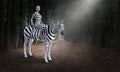 Surreal Woman Riding Zebra, Nature, Woods Royalty Free Stock Photo