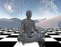 Meditation on a chessboard Royalty Free Stock Photo