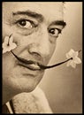 Surrealism Salvador Dali's Mustache Philippe Halsman Miro Mobile Art Dali Beard Vintage Collectible Photograph humorous