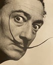 Surrealism Salvador Dali's Mustache Philippe Halsman Miro Mobile Art Dali Beard Vintage Collectible Photograph humorous