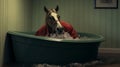 Surrealist Horse Soaking In Bathtub: Object Portraiture Specialist