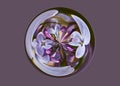 Surrealist lilac purple floral circle design