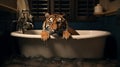 Surrealist Photography: Tiger In A Big Tub With Long Sleeve Shirt