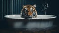 Surrealist Photography: Tiger In A Big Tub With Long Sleeve Shirt