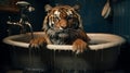 Surrealist Photography: Tiger In A Big Tub With Long Sleeve Shirt